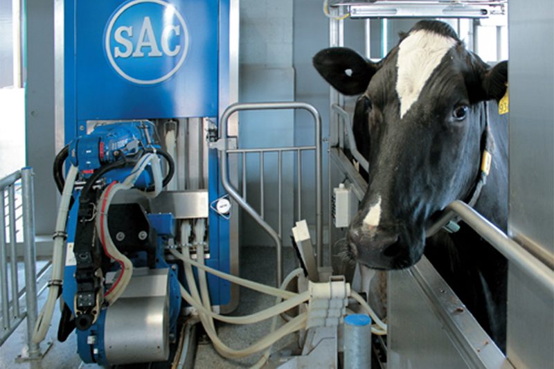 SAC Robotic Milking System
